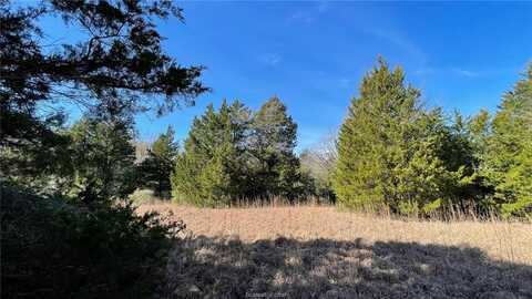 Tbd CR 269 and CR 270 (+/-19.88 ac), Bremond, TX 76629