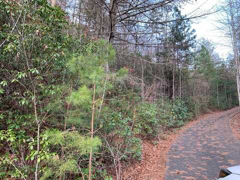 00 Bear Creek Junction, ROBBINSVILLE, NC 28771