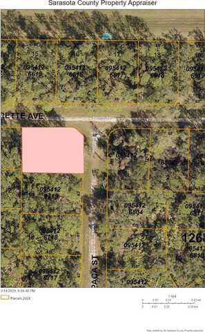 ALPACA STREET, NORTH PORT, FL 34291