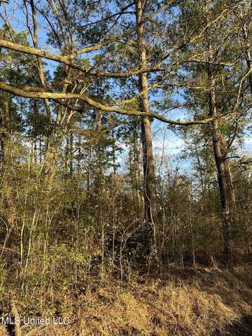 2.9 Acres Goff Road, Lucedale, MS 39452