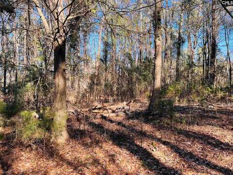 Aiken Street, Leesville, SC 29072