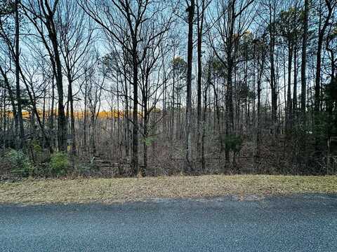 Lot 18 TURKEY TRAIL, FORTSON, GA 31808