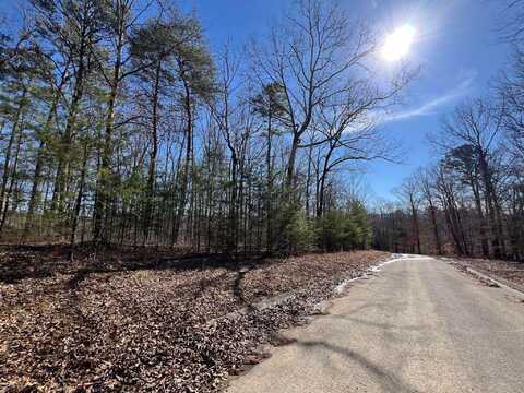 0 Lower Brow Road, Dunlap, TN 37327