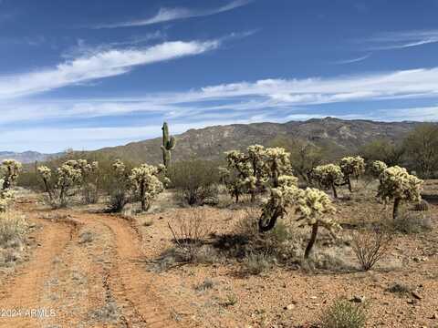 12300 E OLD SPANISH Trail, Tucson, AZ 85747