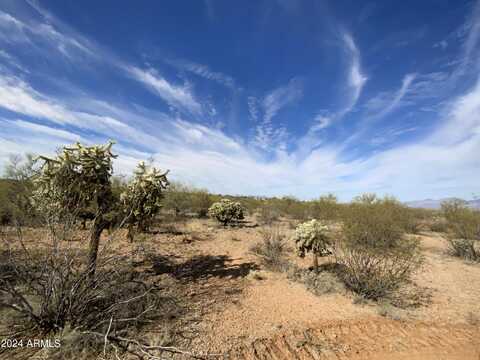 12300 E OLD SPANISH Trail, Tucson, AZ 85747