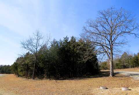 Lot 8 New Eagles Trail, Shell Knob, MO 65747