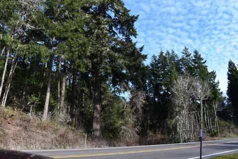 HWY 138 W, Oakland, OR 97462