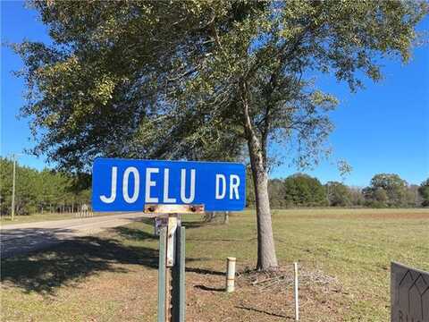 Lot 13 JOELU Drive, Franklinton, LA 70438