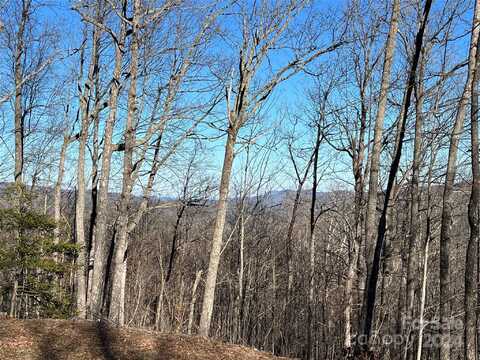 242 Black Bear Ridge Trail, Zirconia, NC 28790