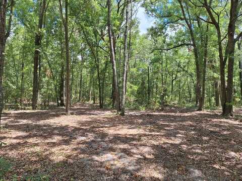 Lot 000 208th Pl, O Brien, FL 32071