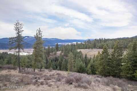 Lot 2 Brimstone Lne, Saint Maries, ID 83861