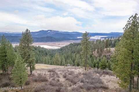 Lot 3B Brimstone Ln, Saint Maries, ID 83861