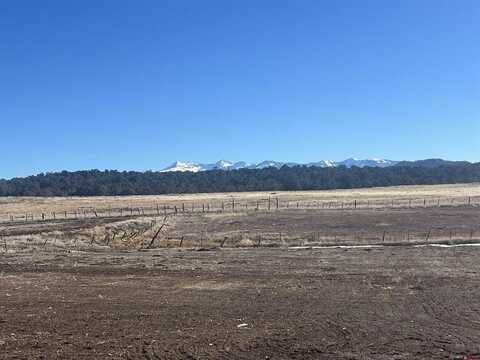 TBD Road 32 Lot 2, Mancos, CO 81328