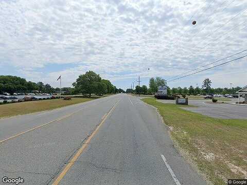 Camellia, REIDSVILLE, GA 30453