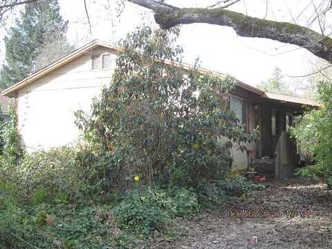 Oak, REDWAY, CA 95560