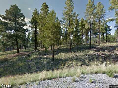 S Las Colinas Ct 197 -- S 197, Flagstaff, AZ 86005