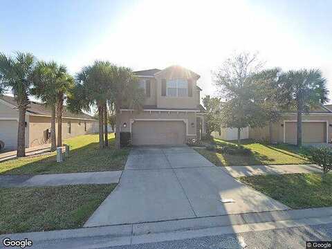 Forest Mere, RIVERVIEW, FL 33578