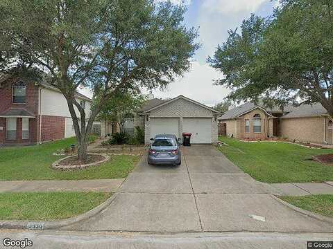 Norfolk Pine, FRESNO, TX 77545