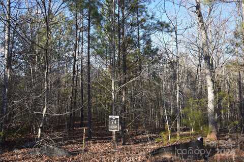 Tayberry Drive lot: 74, Nebo, NC 28761