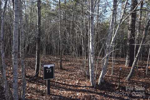 Lot 75 Tayberry Drive, Nebo, NC 28761