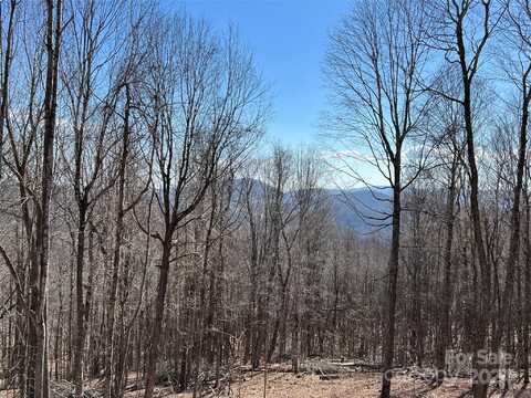 Tbd (lot 70) Poplar Forest Drive, Boone, NC 28607