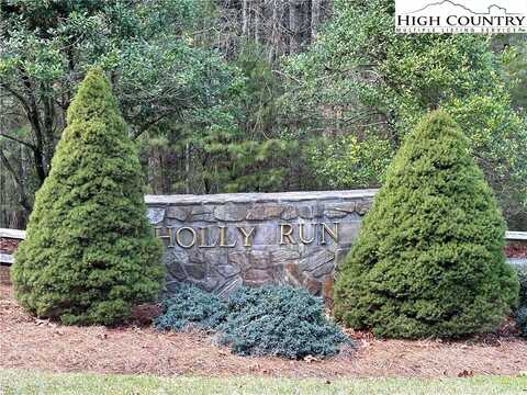 Tbd Holly Run, Glade Valley, NC 28627