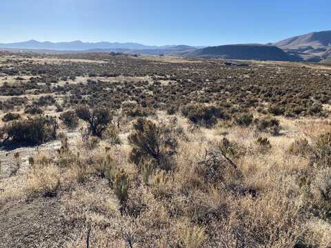 0 Cedar Street, Ryndon, NV 89801