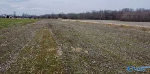 Lot 12 Treva Lane, Hazel Green, AL 35750