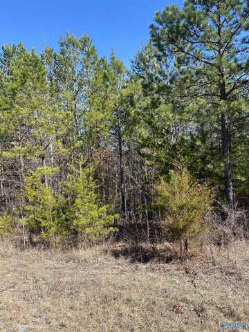 Lot 4 1st Add Alyson Avenue, Fort Payne, AL 35968