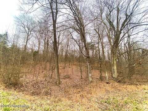 Tract 2 Shores Rd, Falls Of Rough, KY 40119