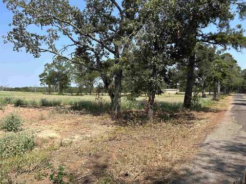 3.35 ACRES tbd COUNTY ROAD 2169, Troup, TX 75789