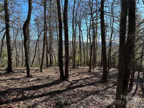 3 White Oak Ridge Road, Burnsville, NC 29714