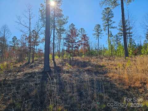 2195 Inlet Shore Road, Connelly Springs, NC 28612