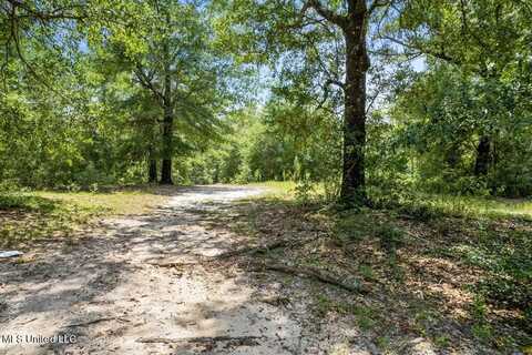 3+/- Ac Wildflower Circle, Lumberton, MS 39455