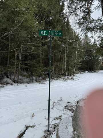 Map9lot45 NE NE Bluff Lane, Beddington, ME 04622