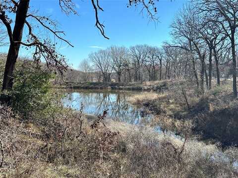 Lot 42 Pelican Point, Streetman, TX 75859