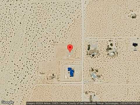 Desert Quail, TWENTYNINE PALMS, CA 92277