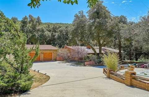 San Francisquito Canyon, SANTA CLARITA, CA 91390