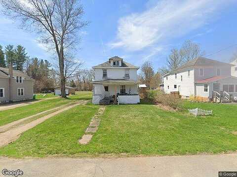 Chestnut, SPRINGVILLE, NY 14141