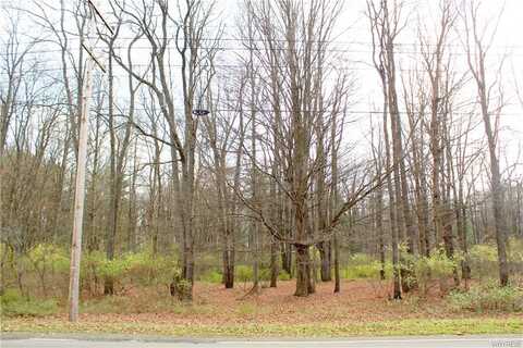 Vl North Street Lot #4, Springville, NY 14141