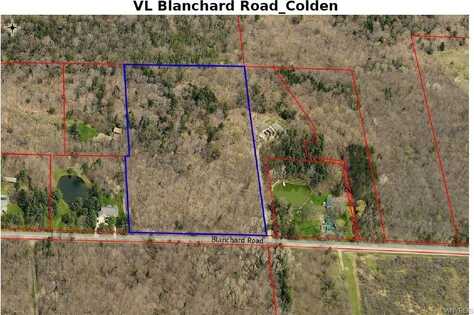 Vl Blanchard Road, Colden, NY 14033