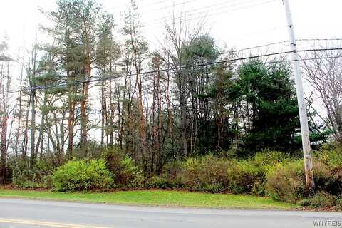 Vl Vaughn Street Lot #6, Concord, NY 14141