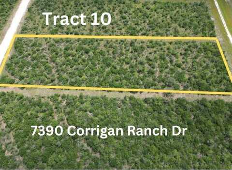 7390 Corrigan Ranch Drive- Tract 10, Skidmore, TX 78389