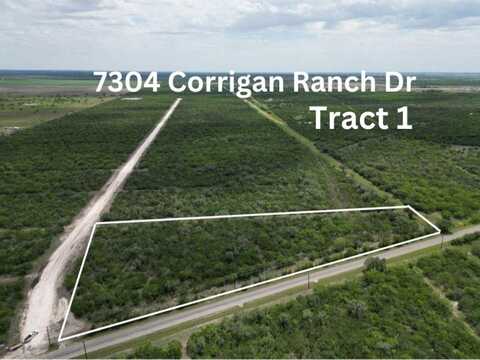 7304 Corrigan Ranch Drive- Tract 1, Skidmore, TX 78389