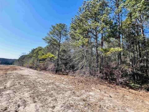 0 Pond Branch Road, Leesville, SC 29070