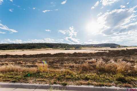 Lot 31 6830 Road, Montrose, CO 81403