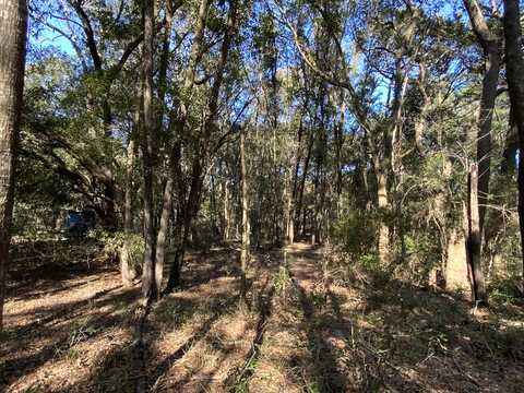 29 Capers Island Circle, Saint Helena Island, SC 29920