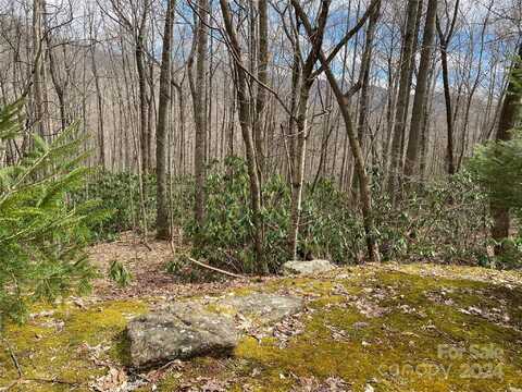 29 Wood Haven Lane, Black Mountain, NC 28711