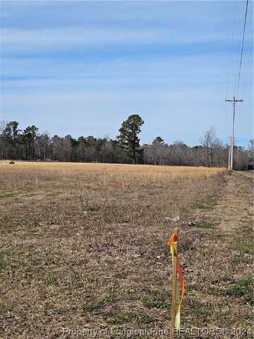 Tract 1 Odum Road, Lumberton, NC 28358