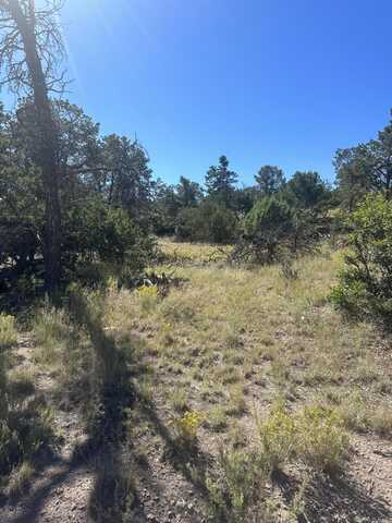 Lookout Circle, Datil, NM 87821